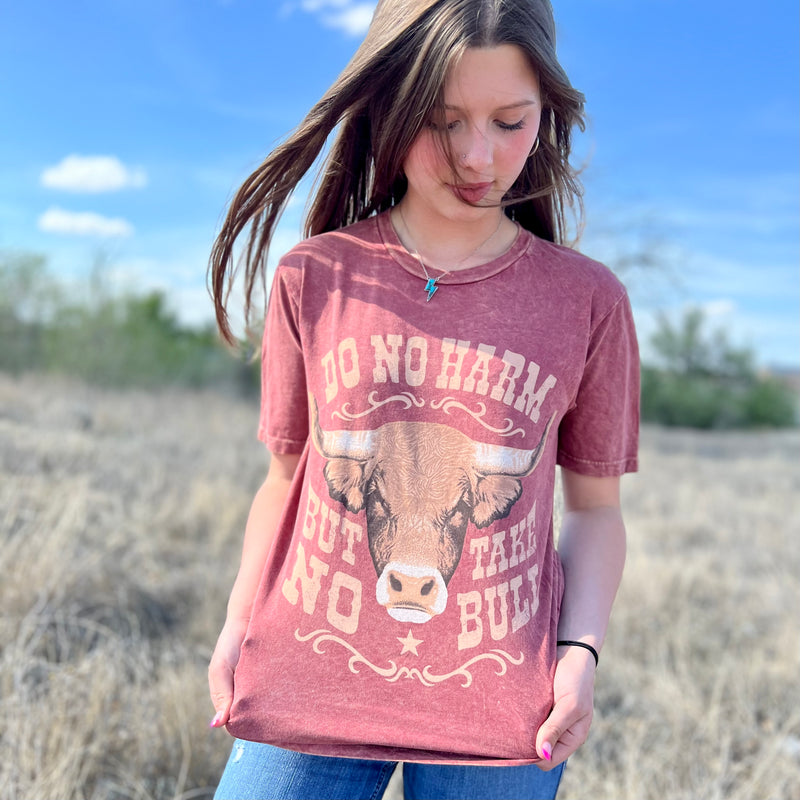 Take No Bull Cause No Harm Tee | gussieduponline