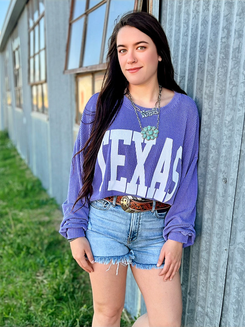 The Texas Graphic Sweatshirt (MULTIPLE COLORS) | gussieduponline